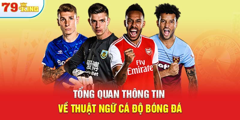 Tổng quan thông tin về thuật ngữ cá độ bóng đá